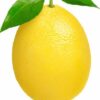 Fresh lemon for sale