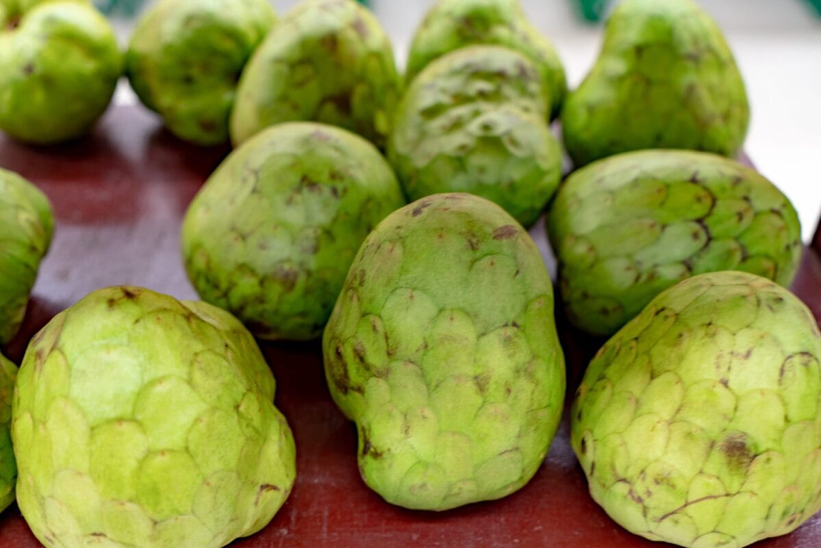custardapple