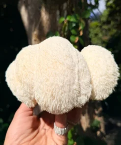 Mane Mushroom