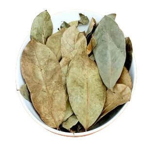 Soursop Leaves